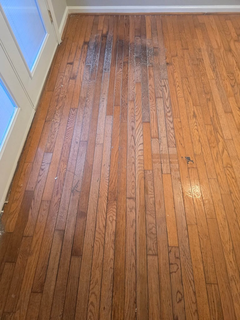 Hardwood floor before restoration showing pet stains and wear